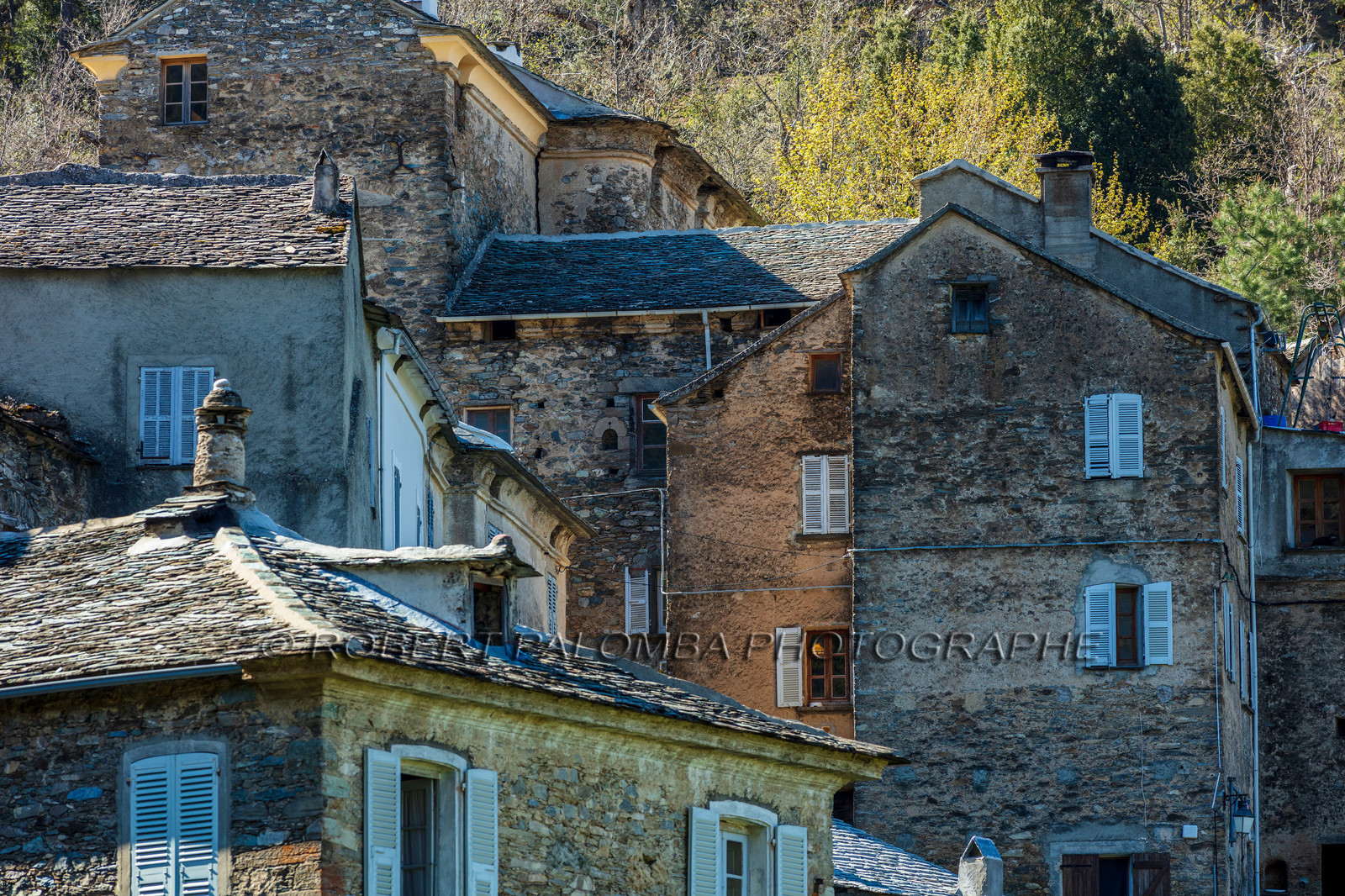 Saliceto