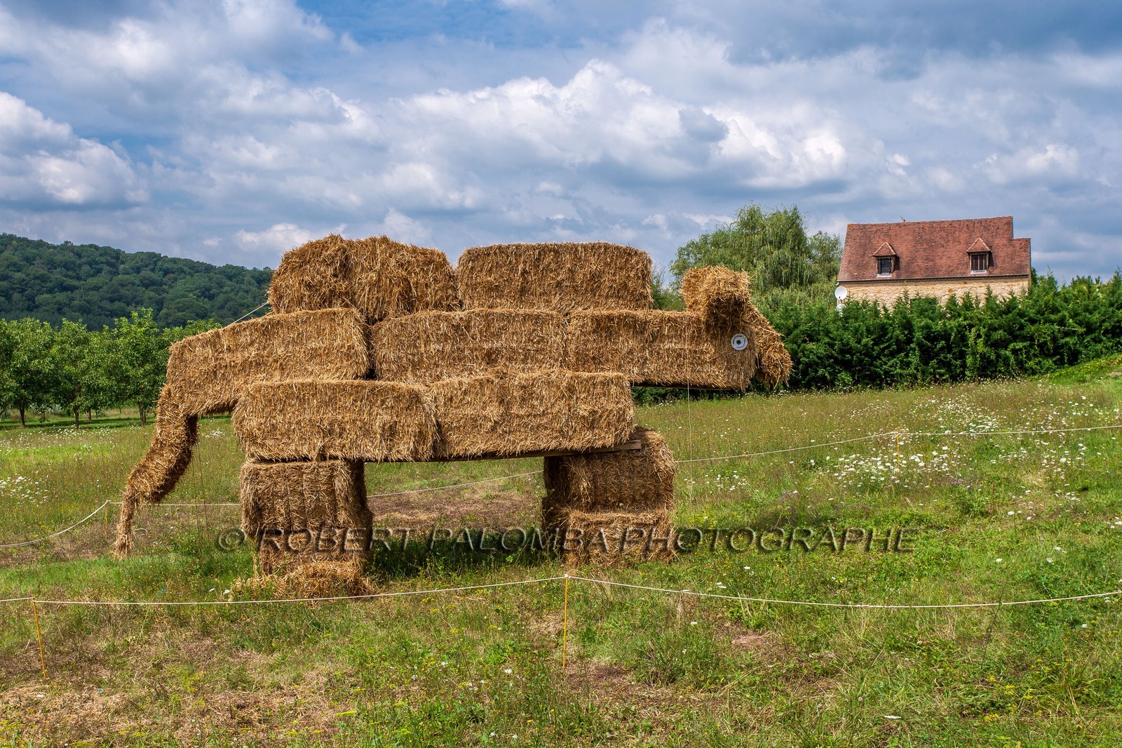 Château de Castelnaud