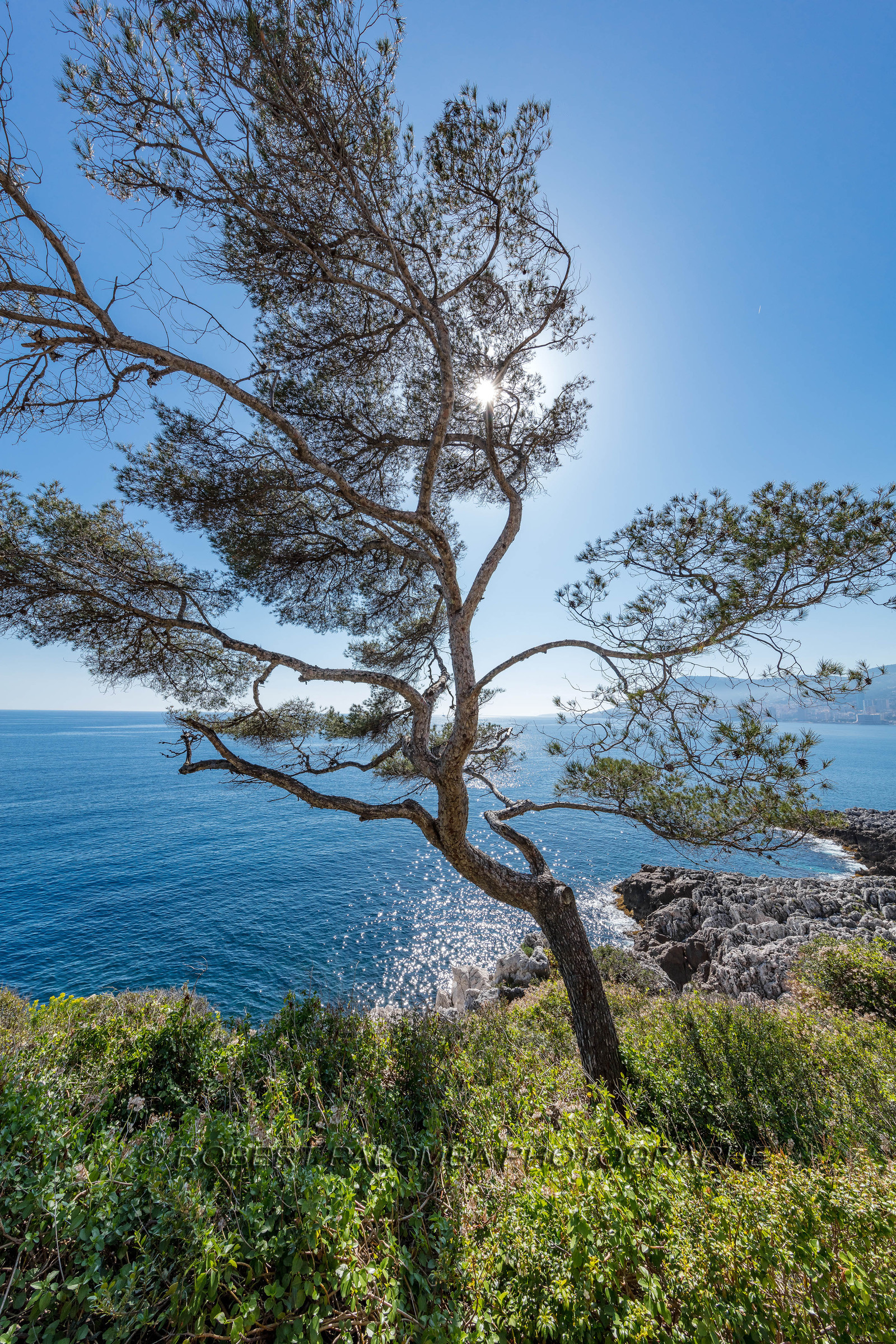 Roquebrune-Cap-Martin