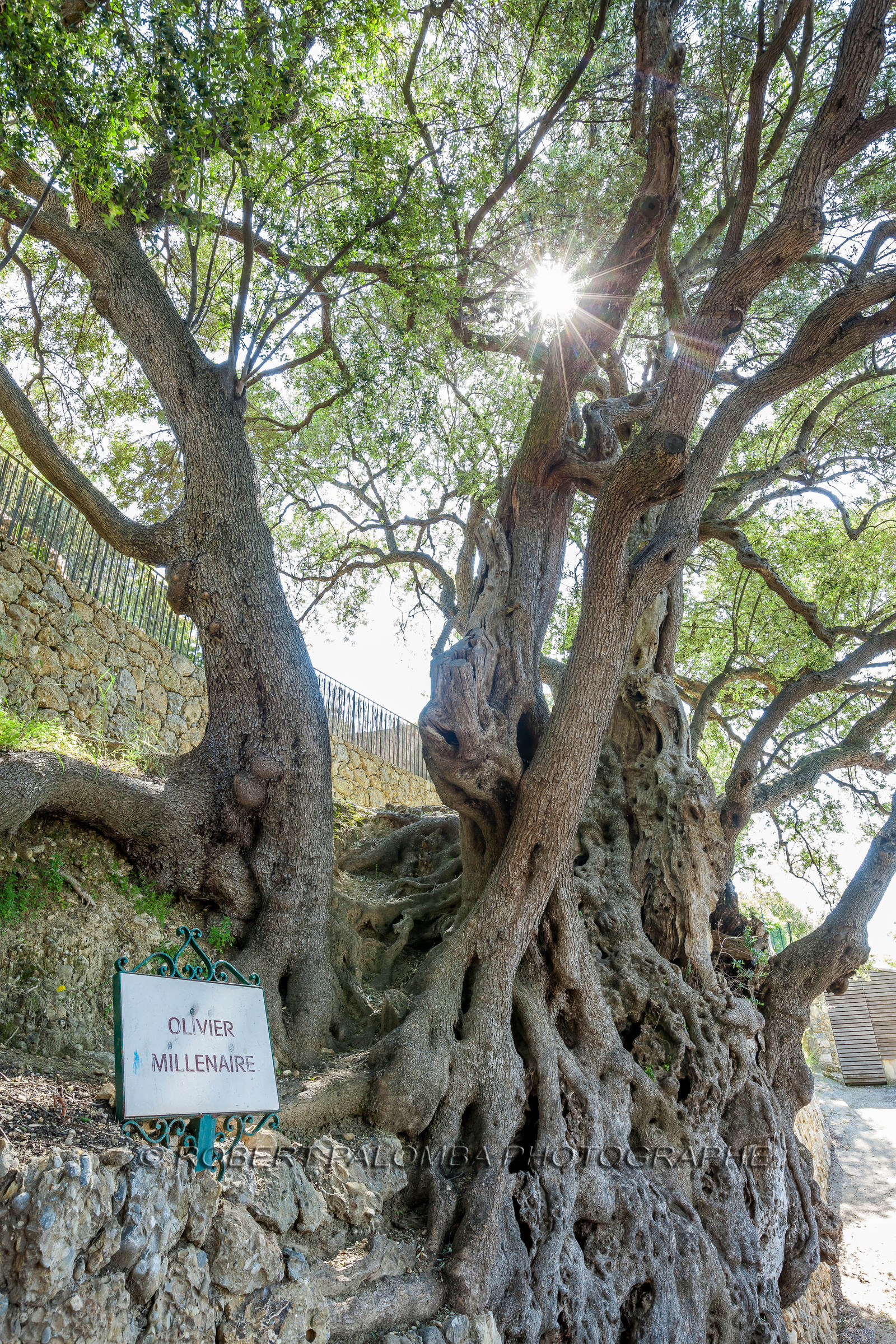 Roquebrune-Cap-Martin