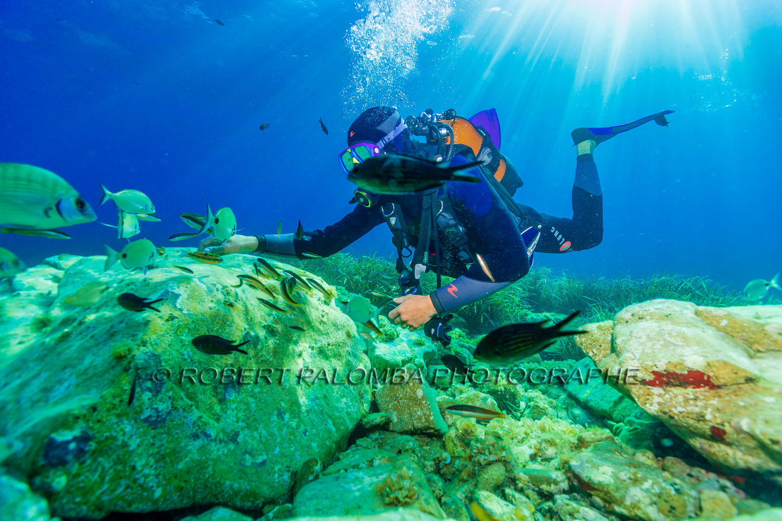 Plongée-sous-marine