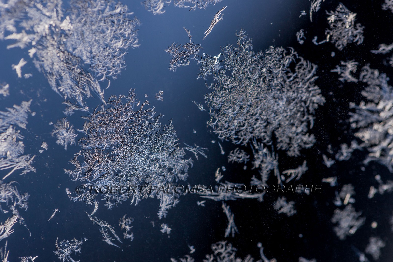 Neige