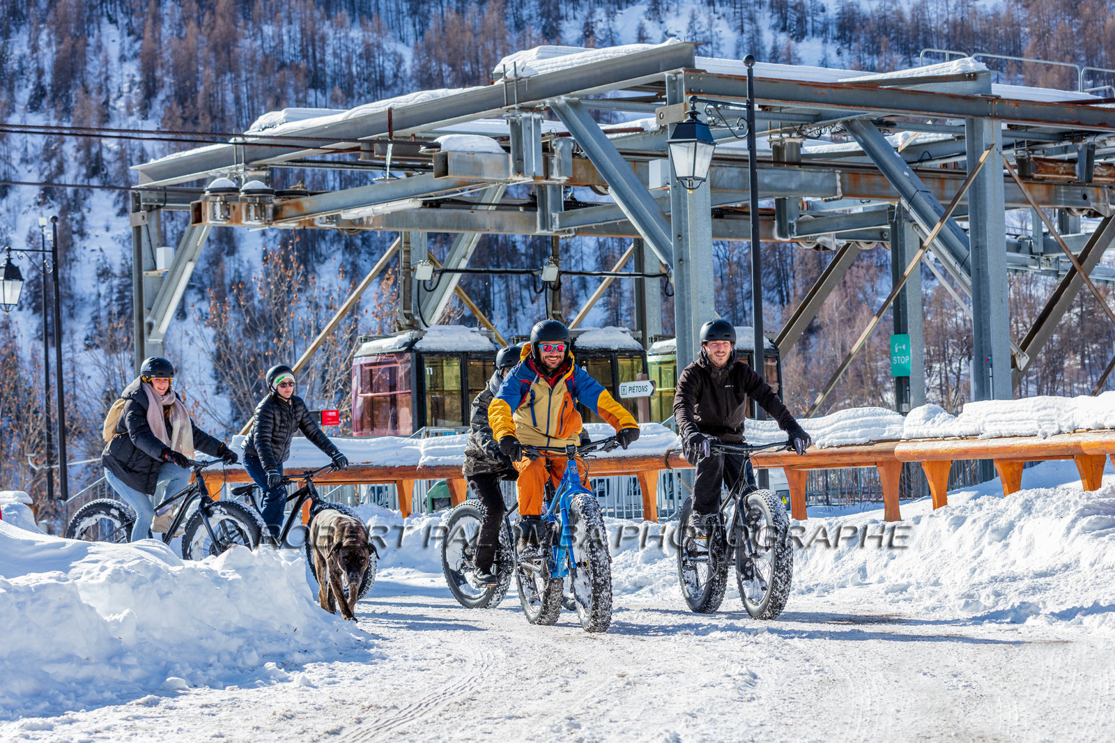 Fat Bike
