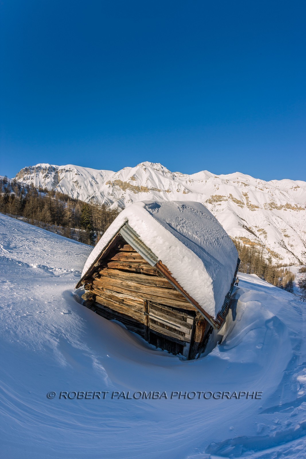 Auron