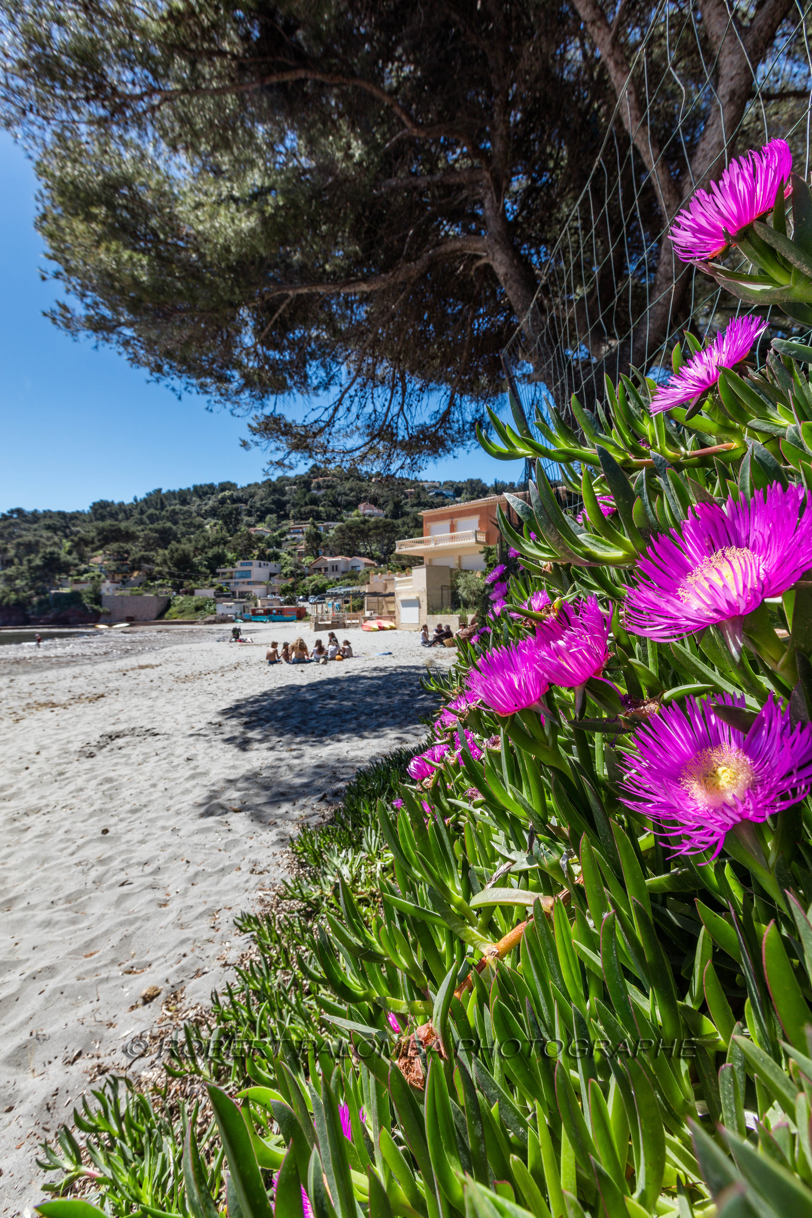 Plage de Fabrégas
