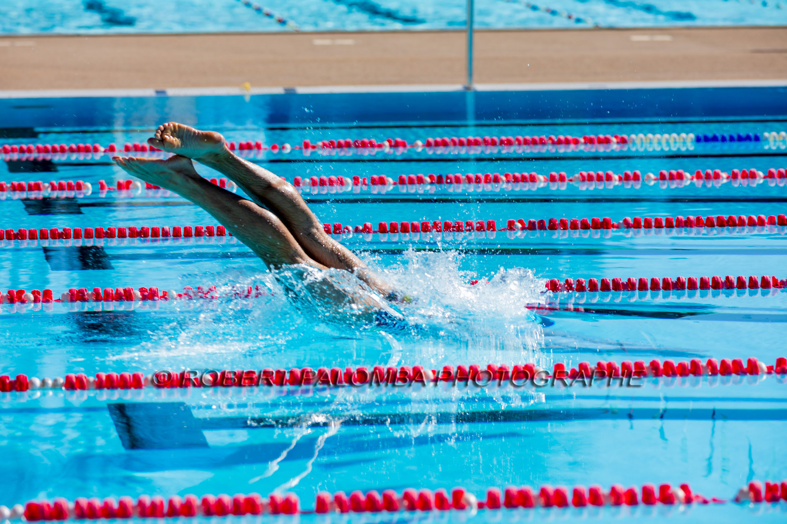 Natation