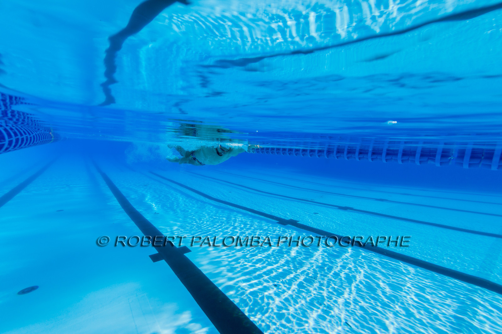 Natation