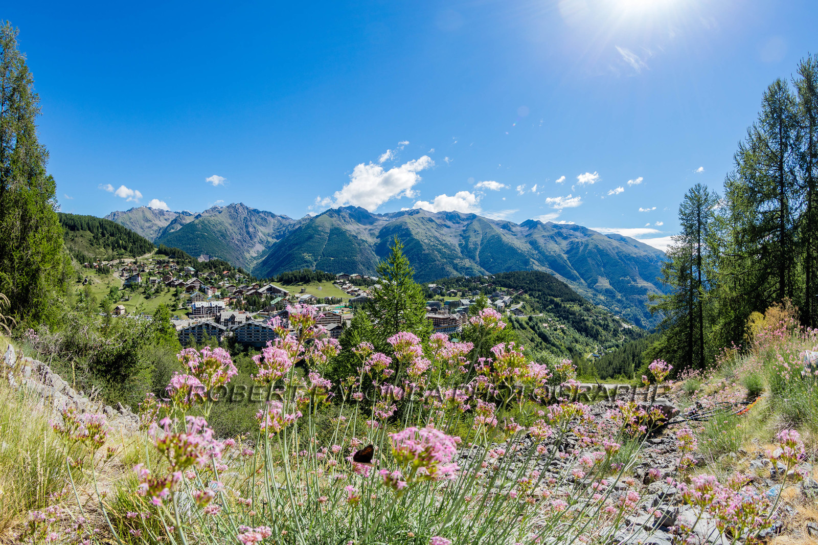 Auron