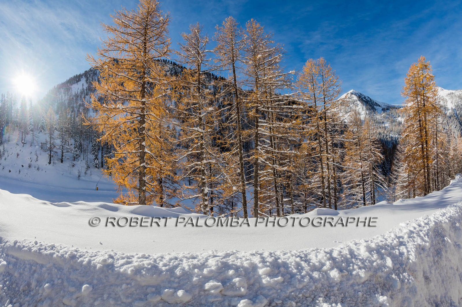 Isola 2000
