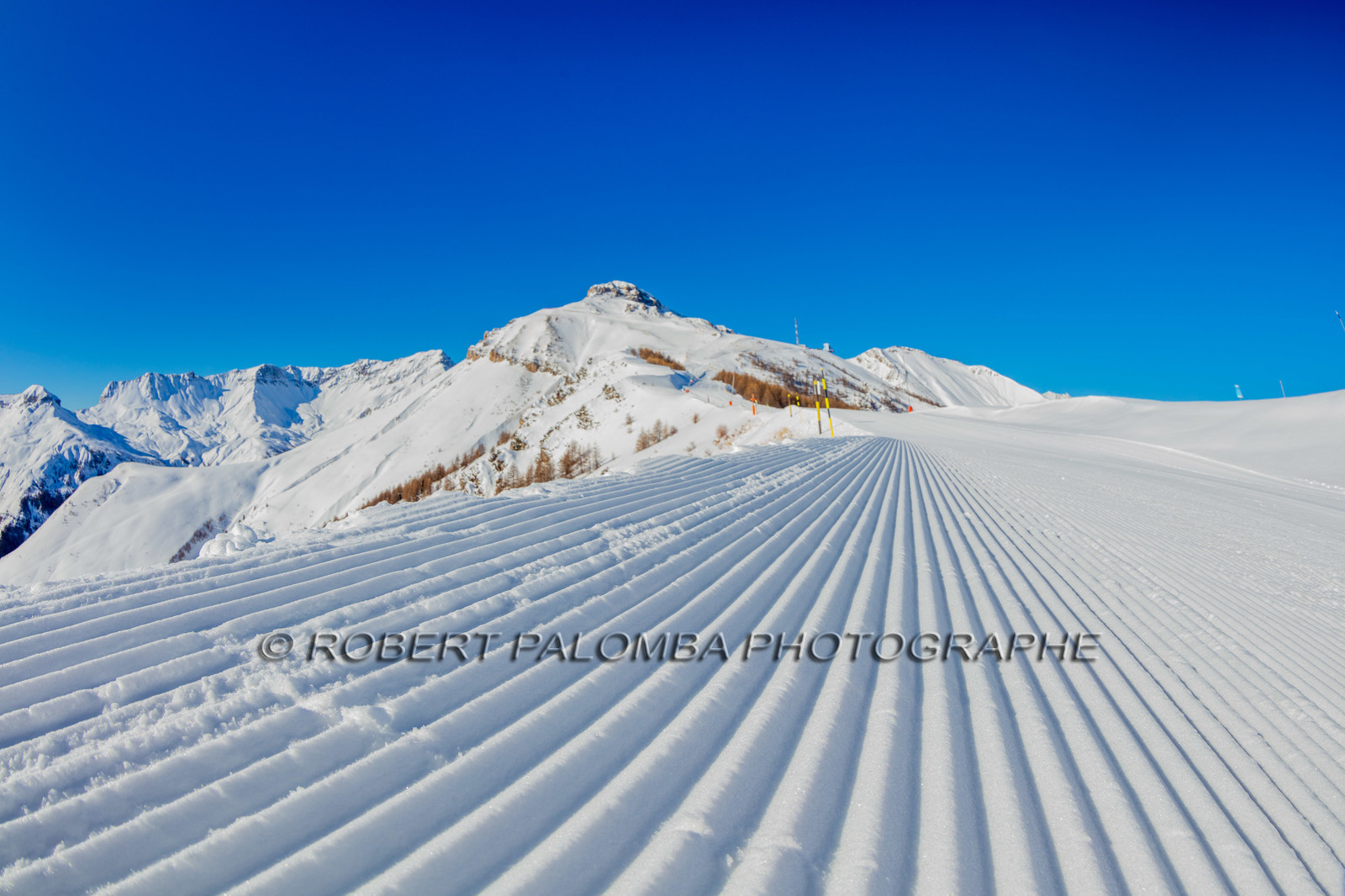 Auron