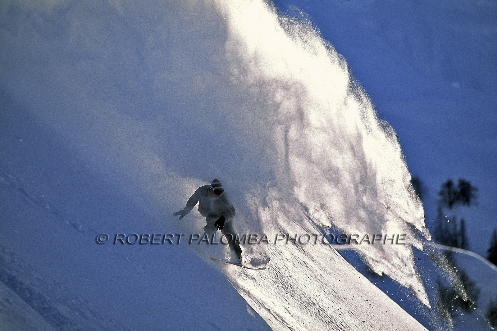 Snowboard