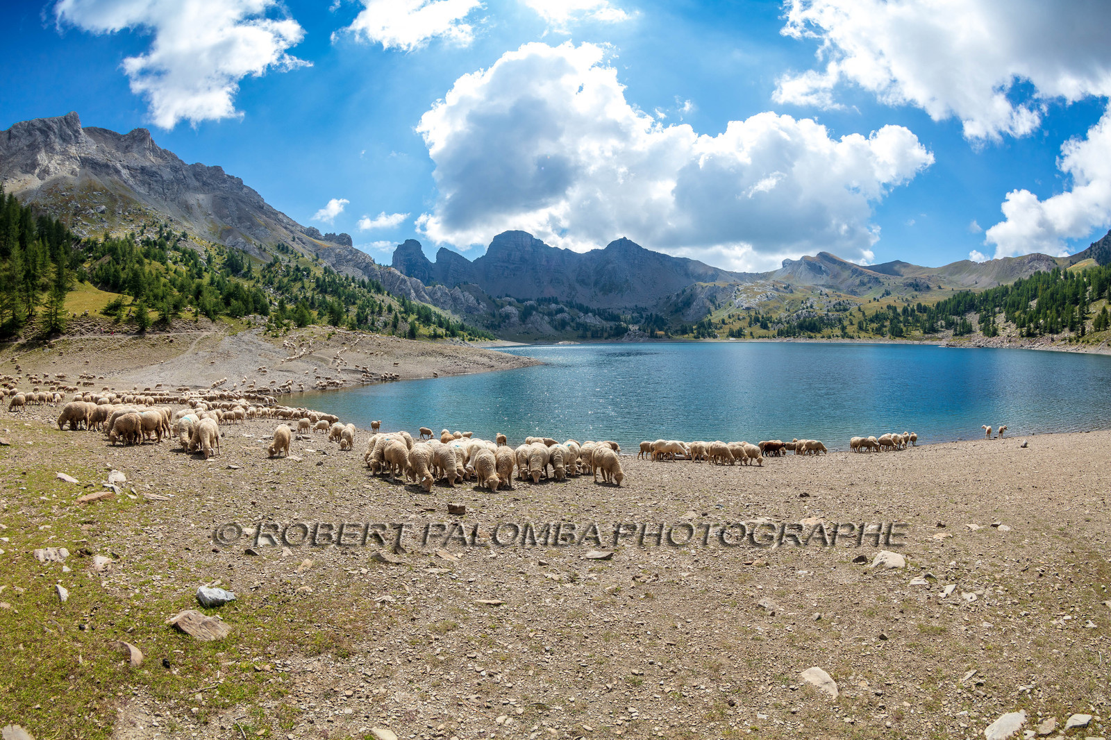 Lac d'Allos
