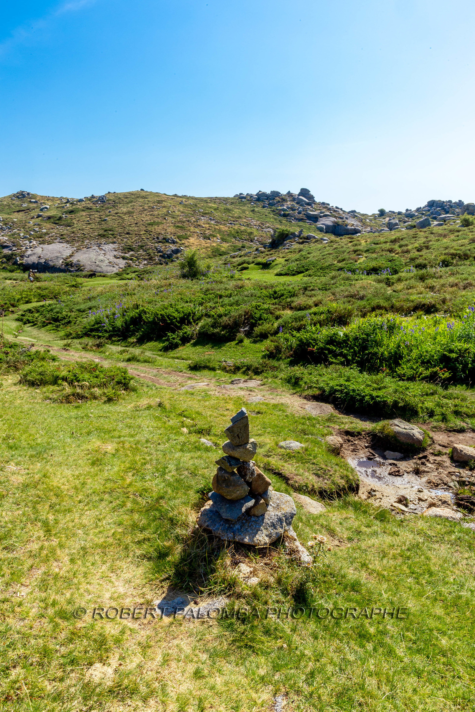 Plateau du Coscione