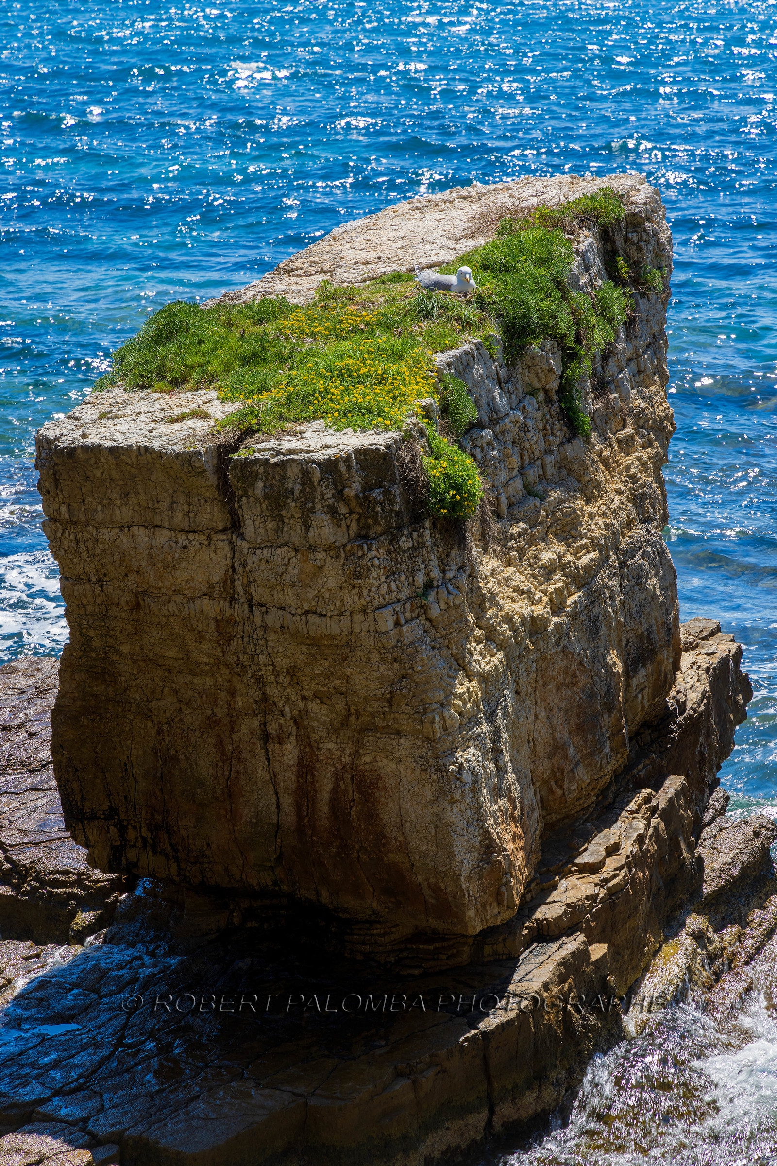 Lérins Sainte-Marguerite 2024