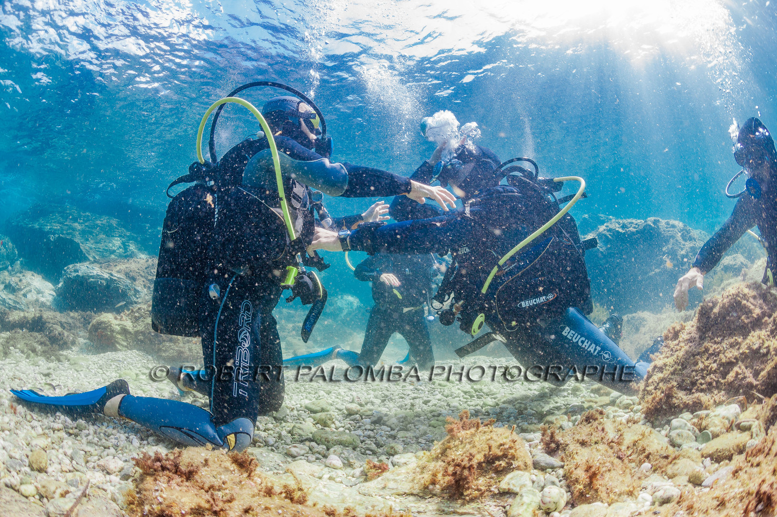 Plongée sous-marine