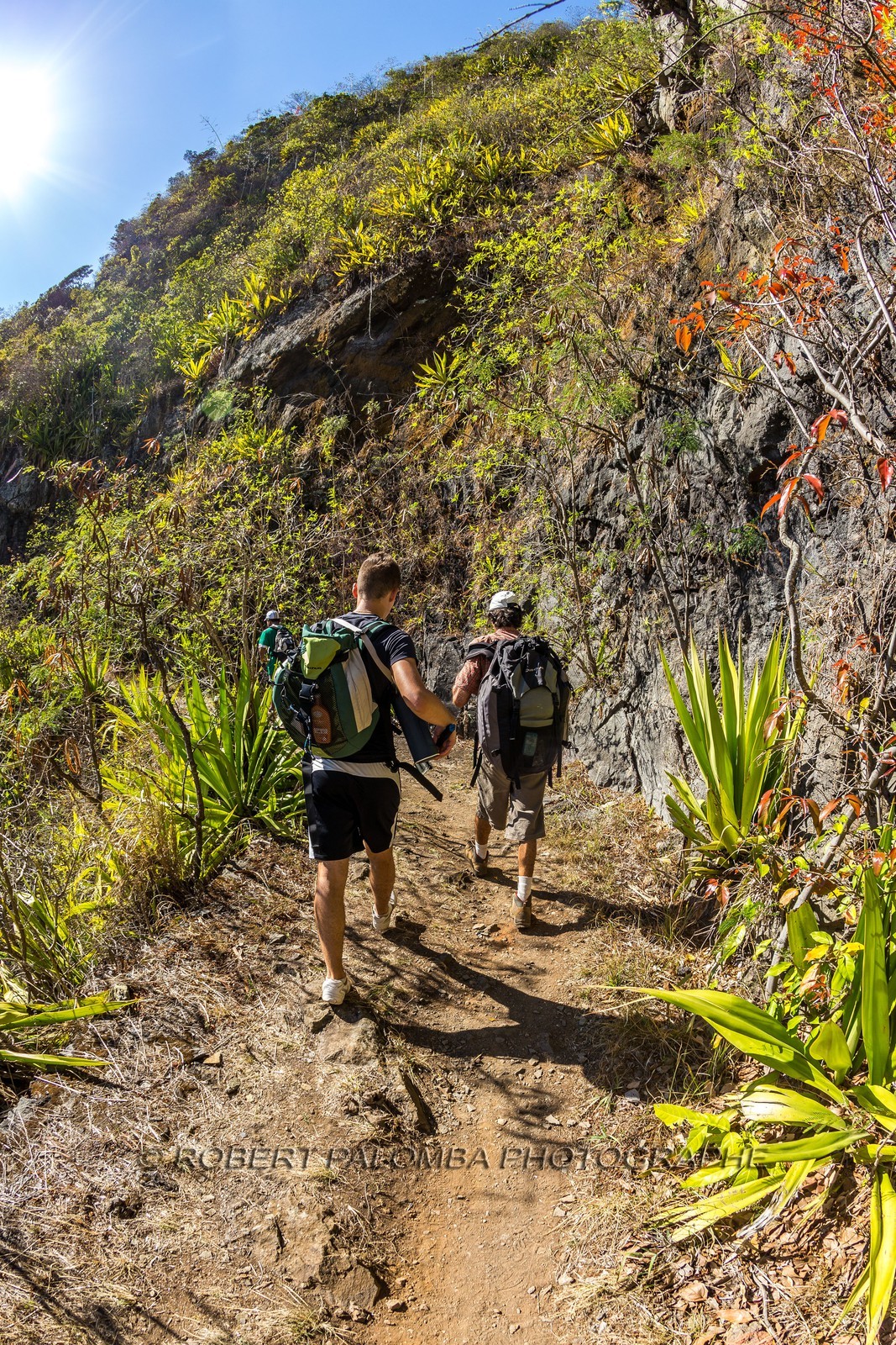 Ile de La Réunion