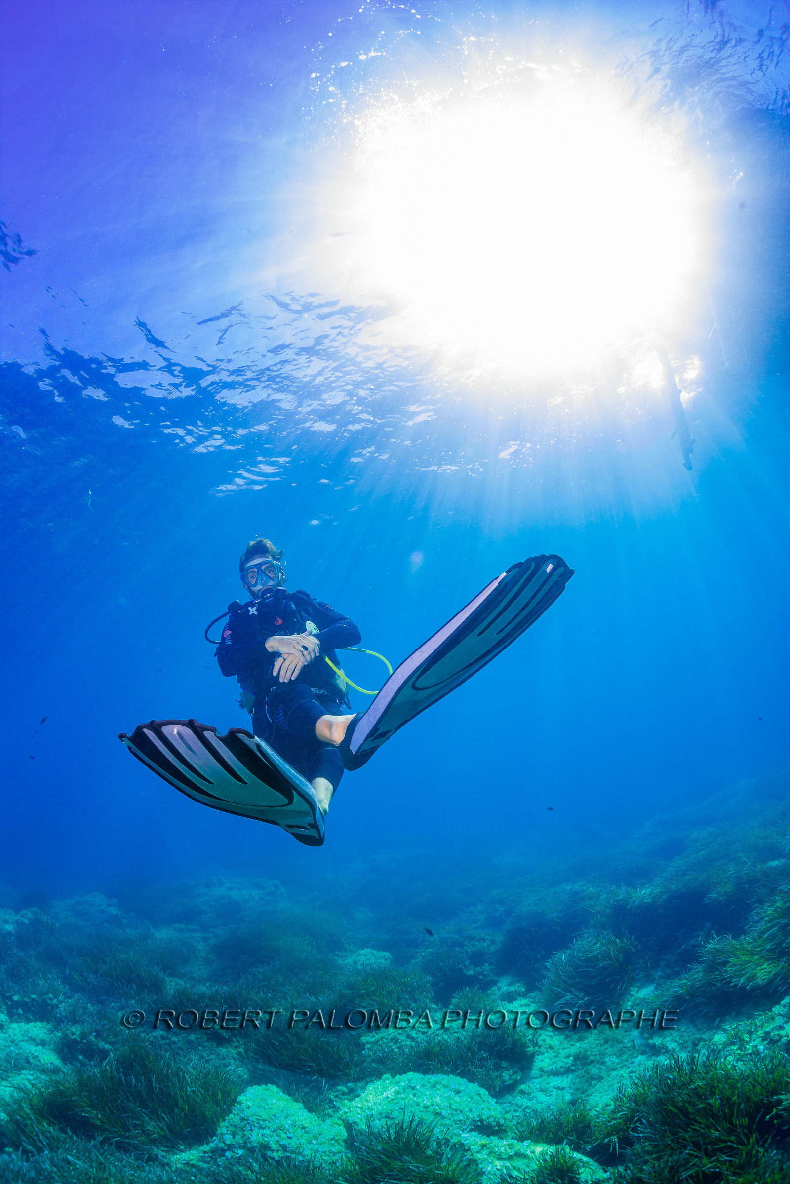 Plongée-sous-marine