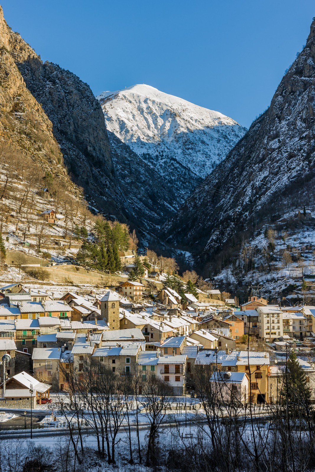Isola