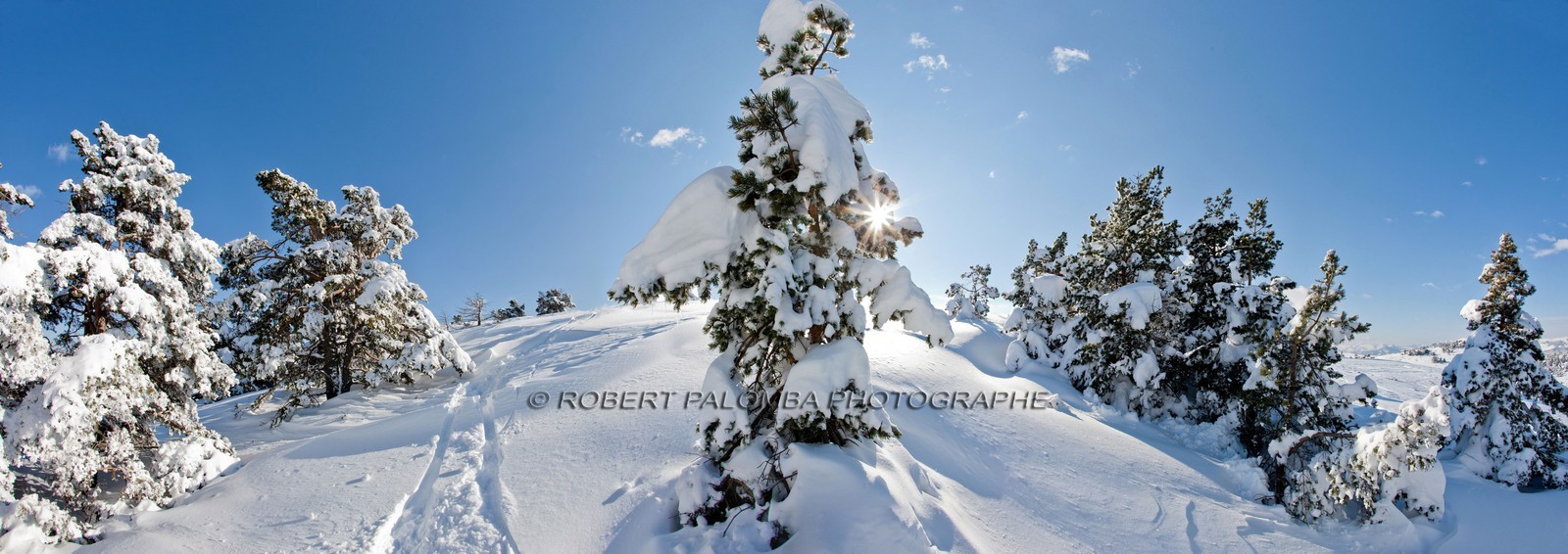 Paysage d'hiver