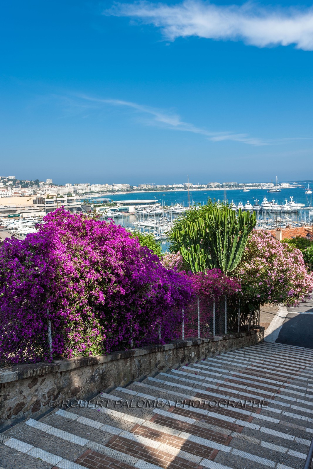 Cannes