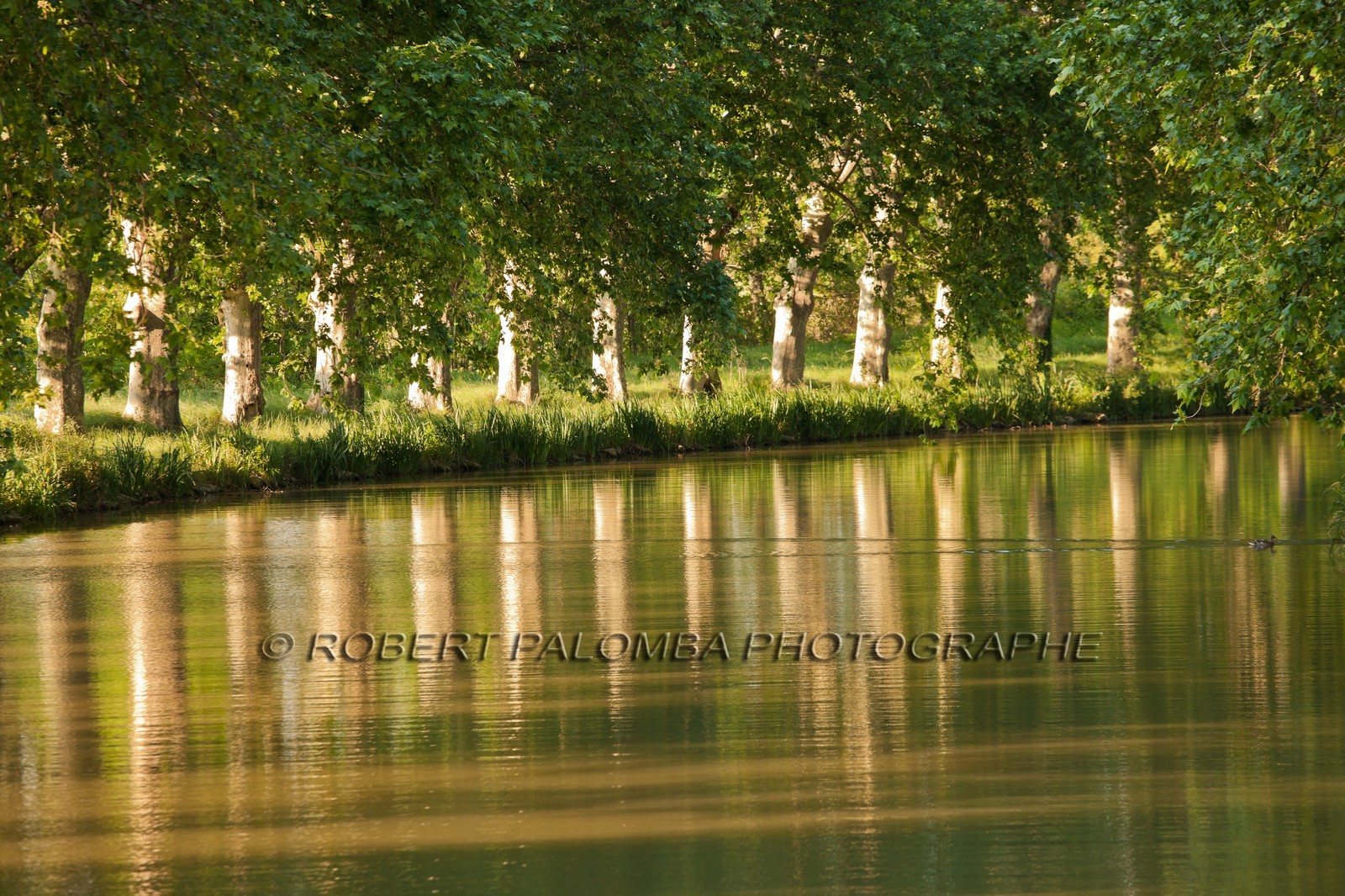 Canal du Midi