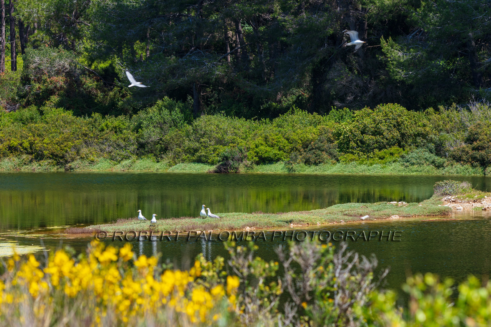 Lérins Sainte-Marguerite