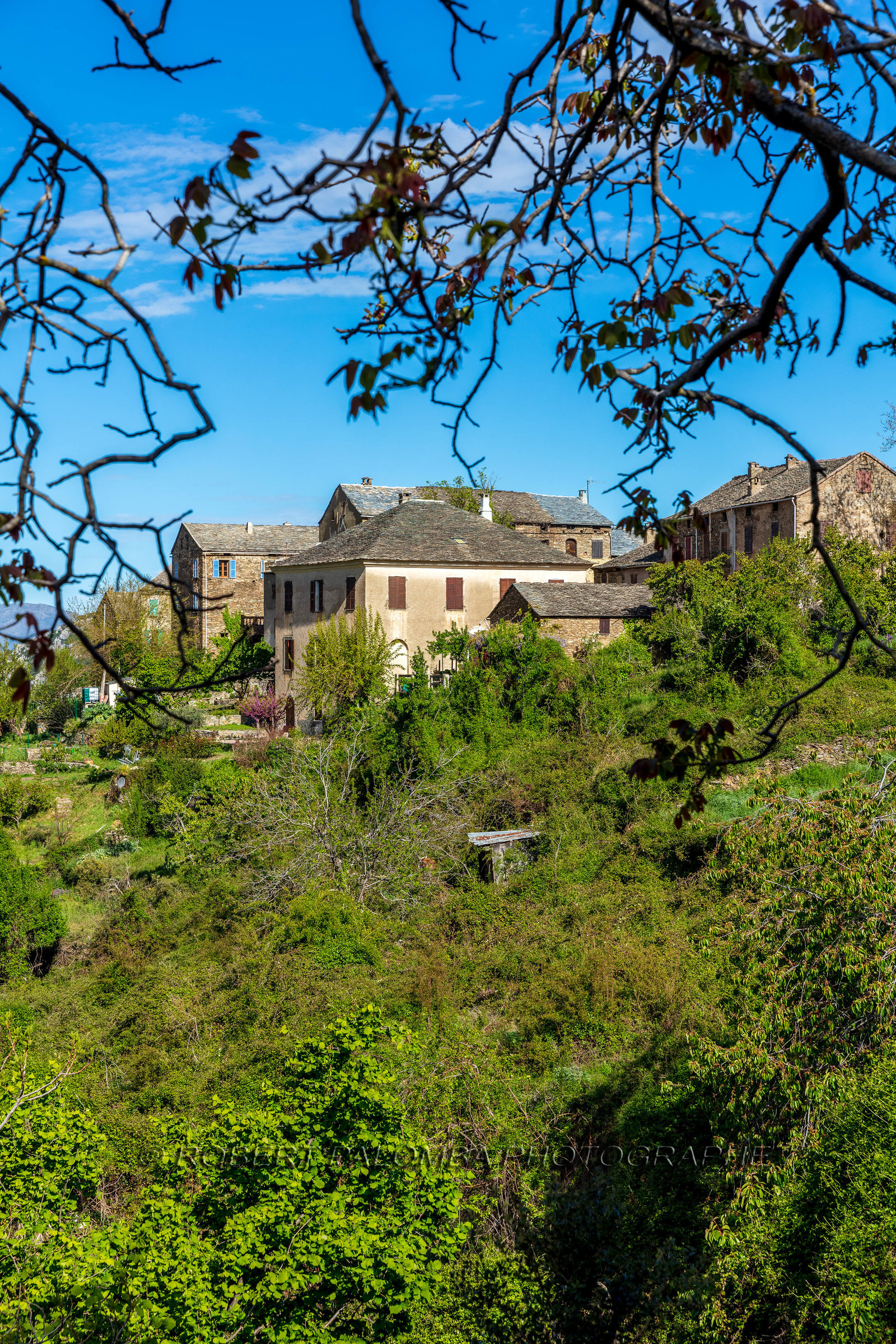 Castineta