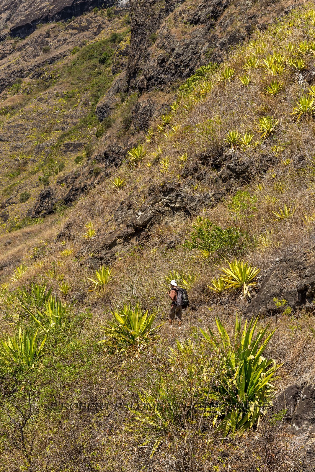 Ile de La Réunion