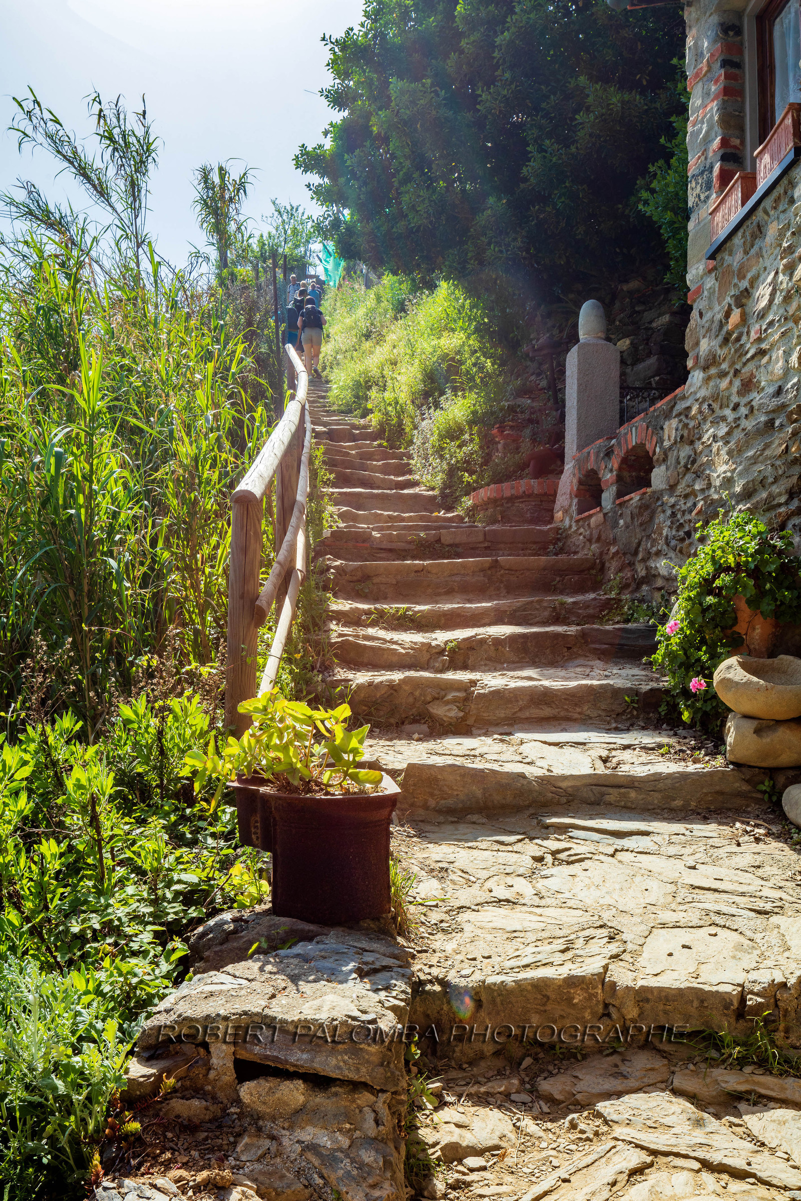 Cinque Terre