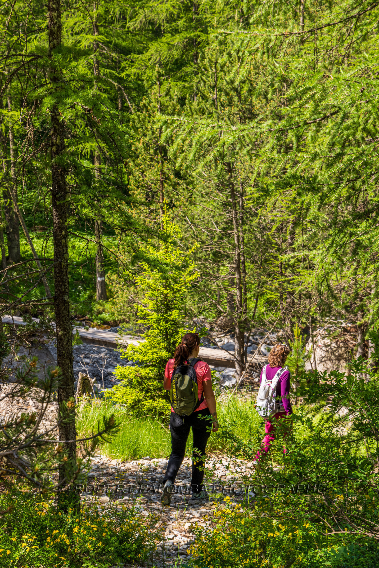 Cascade du Chadoulin