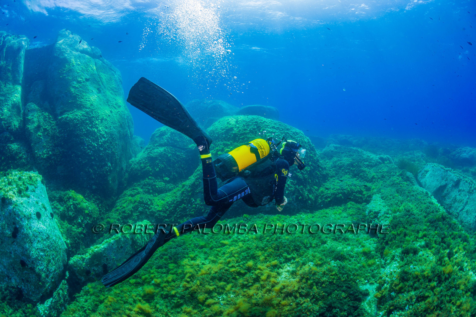 Plongée-sous-marine