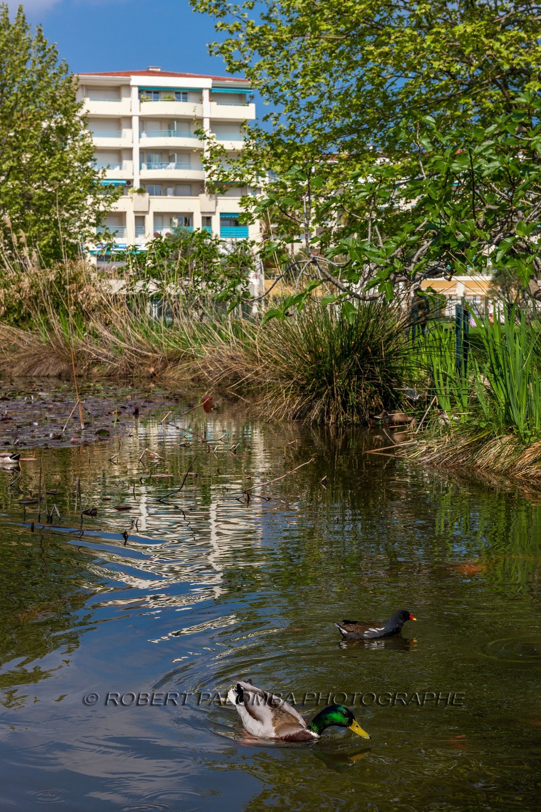 Park Exflora