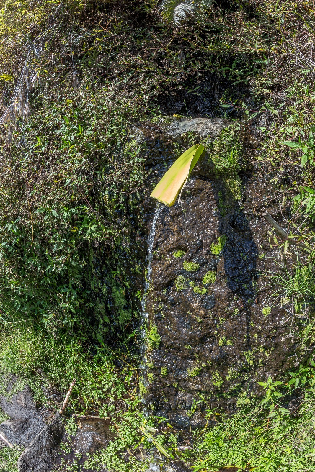 Ile de La Réunion