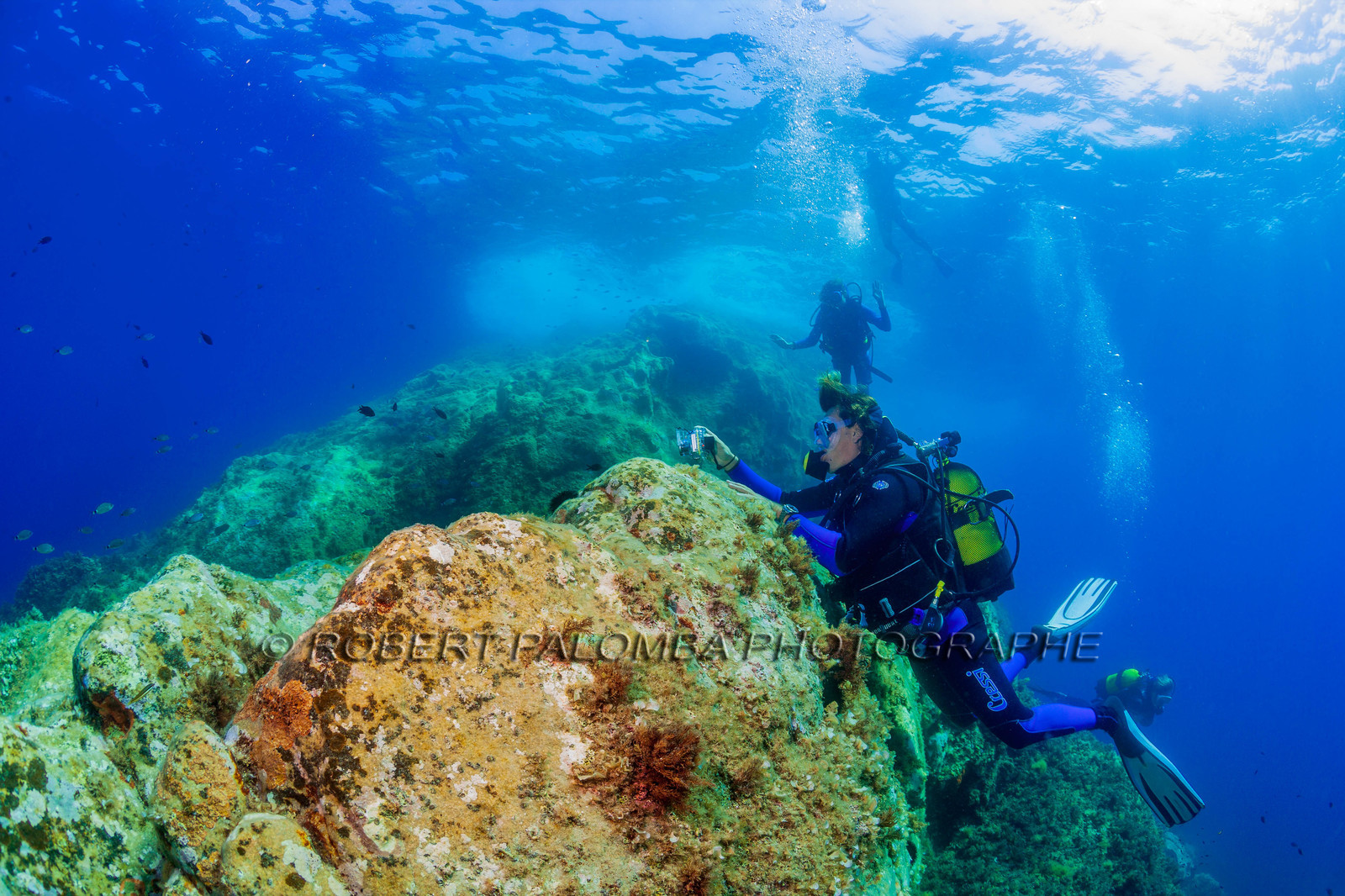 Plongée-sous-marine