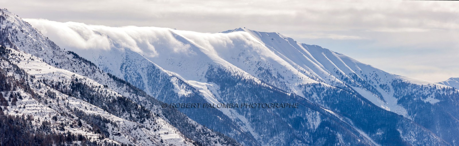 Auron