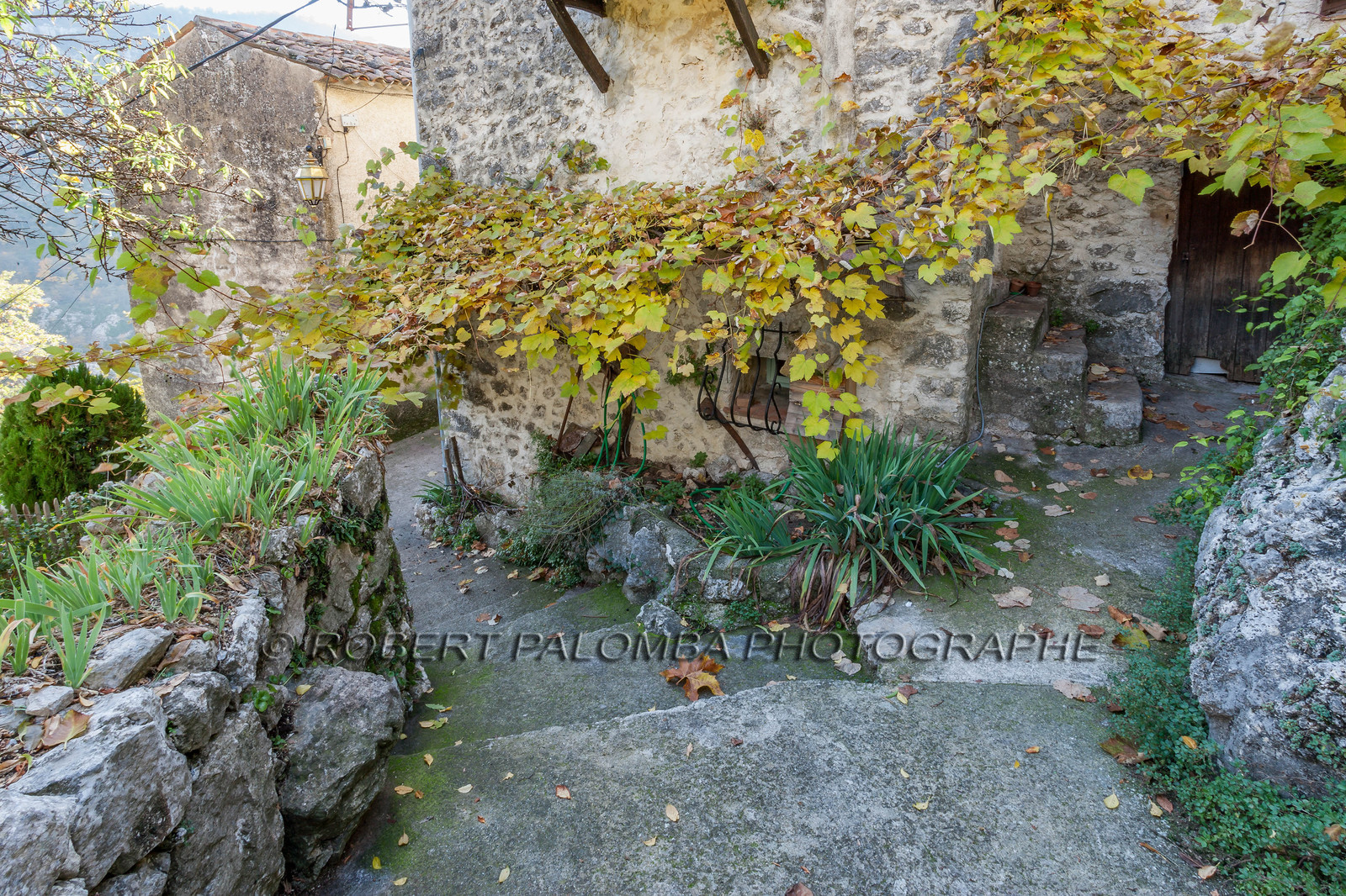 Saint-Pons