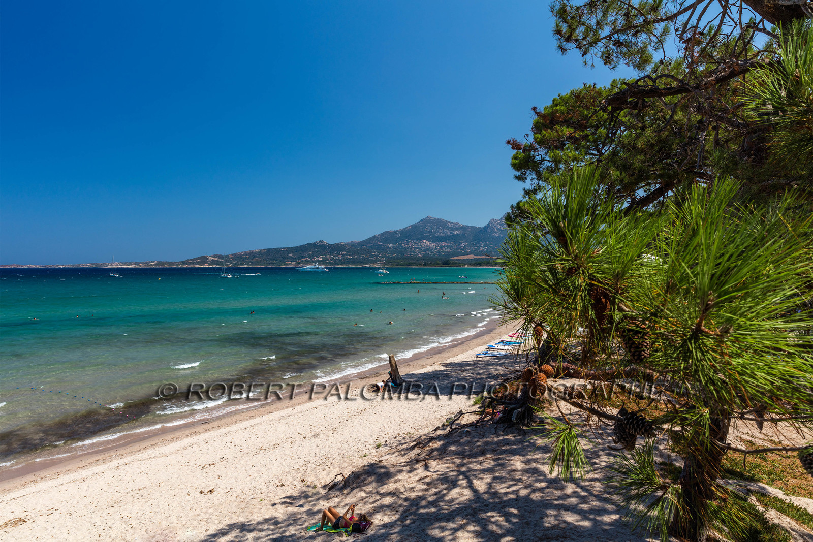 Calvi