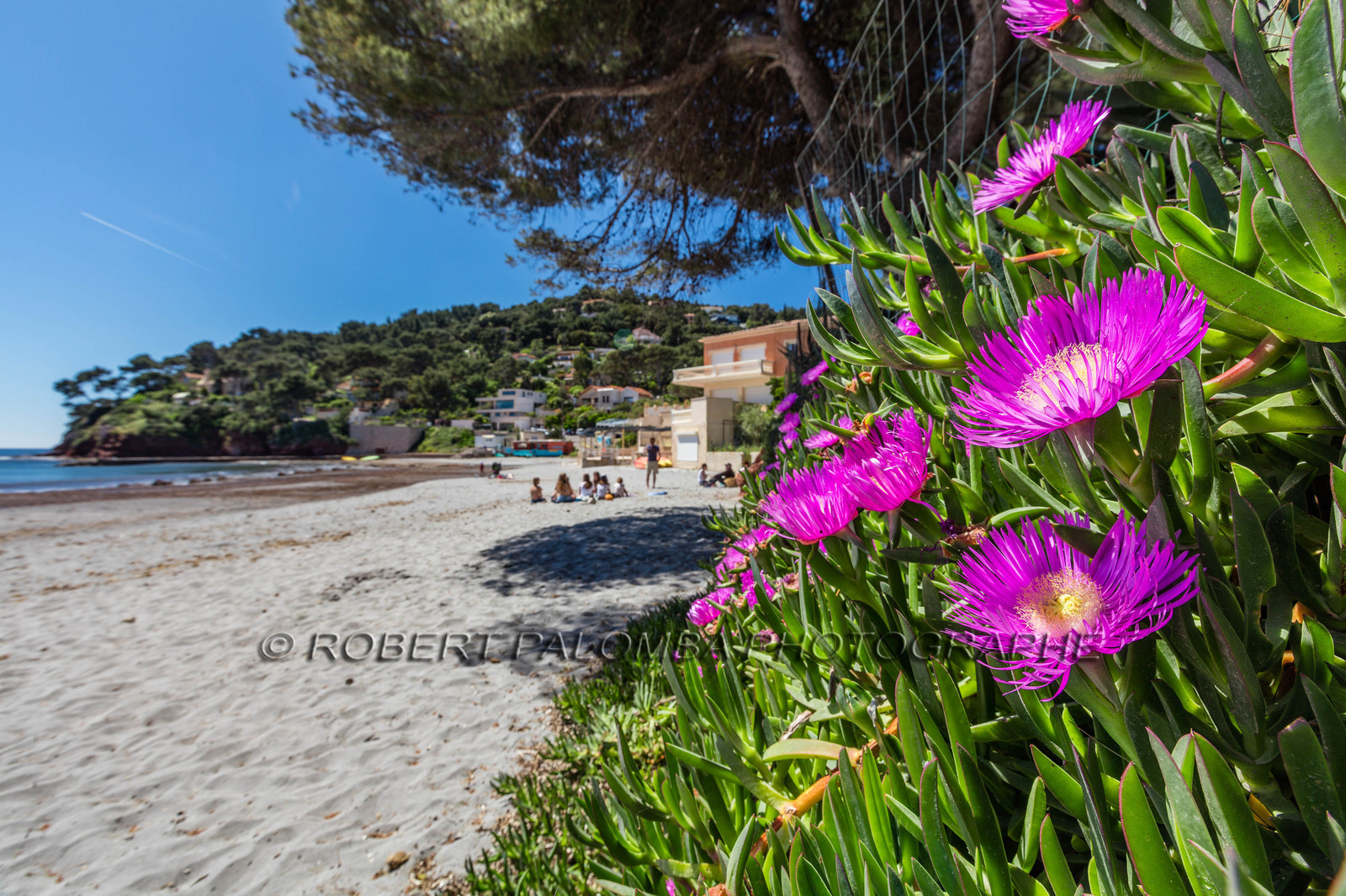 Plage de Fabrégas