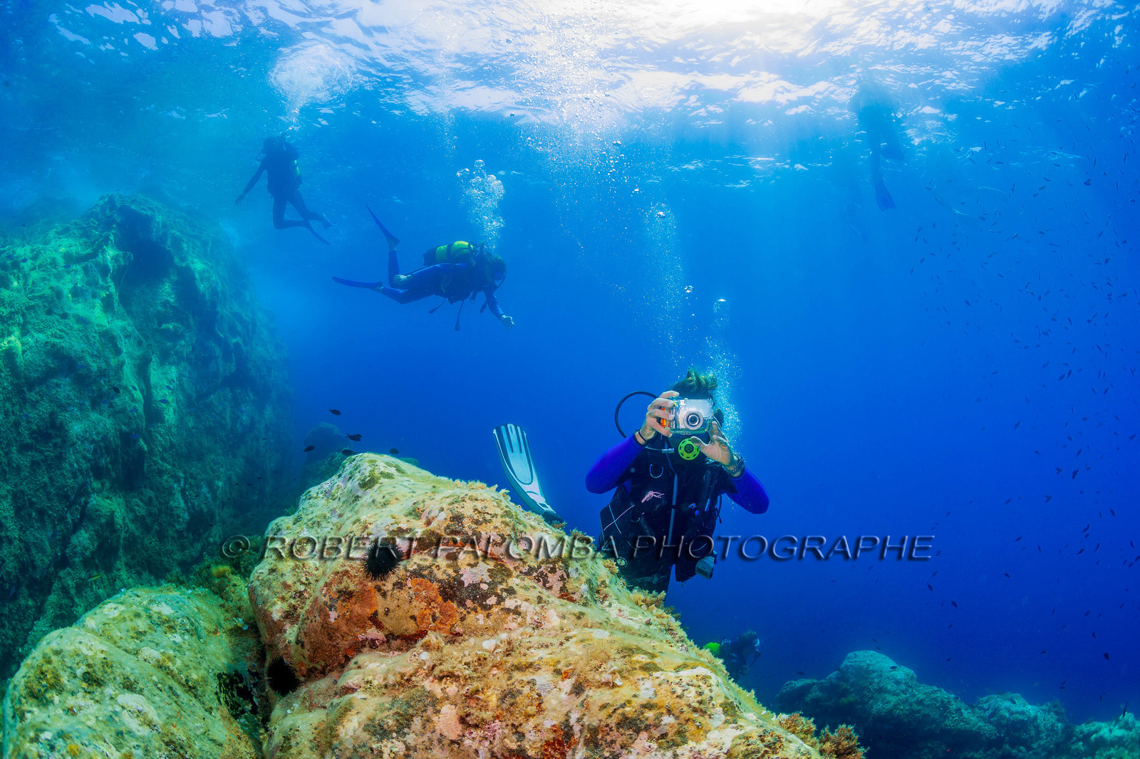 Plongée-sous-marine