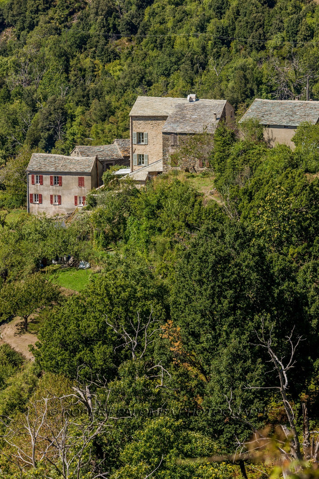 Morosaglia