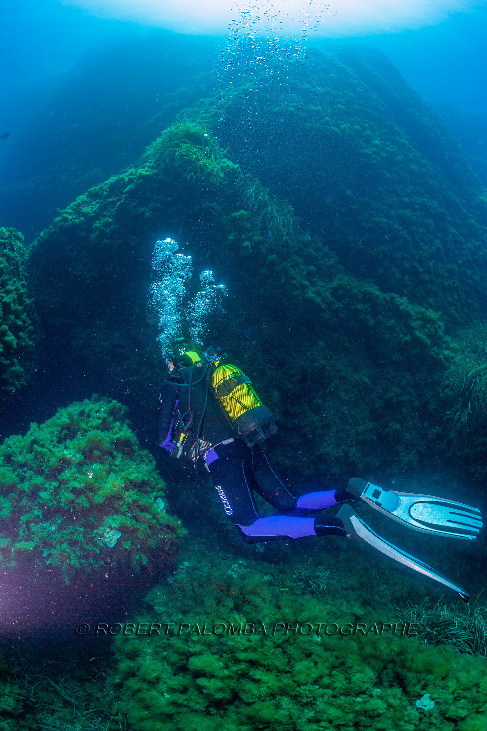 Plongée-sous-marine