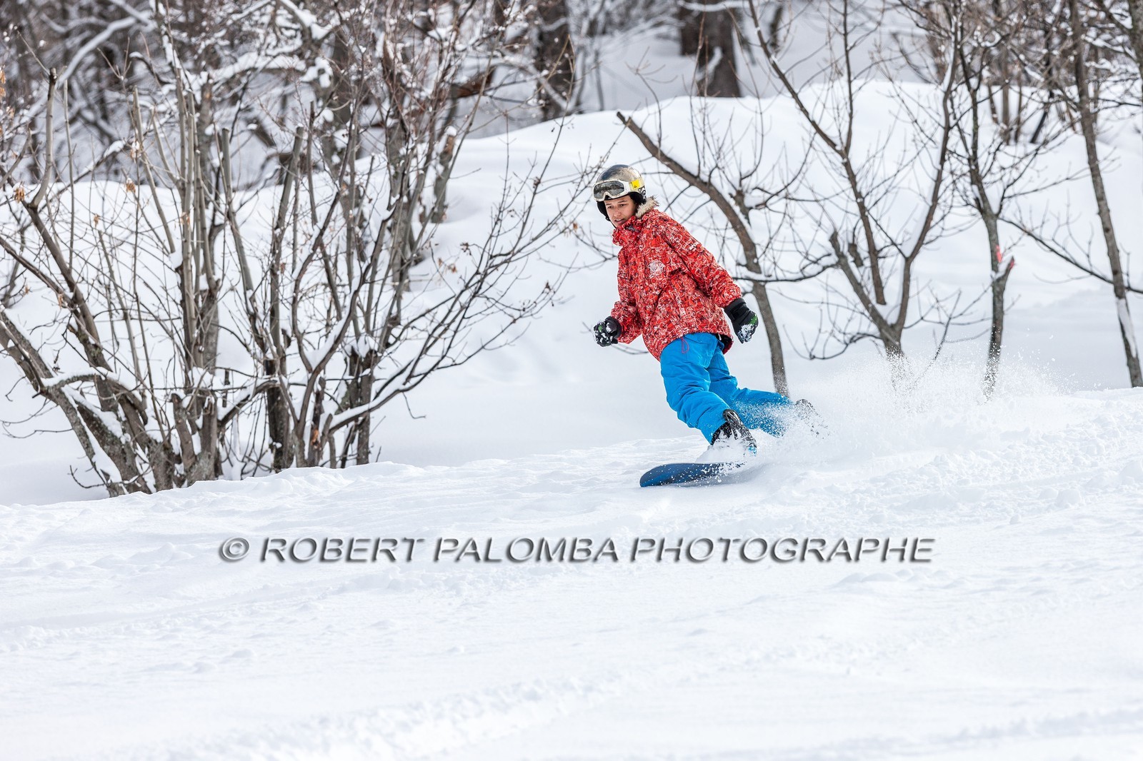 Snowboard