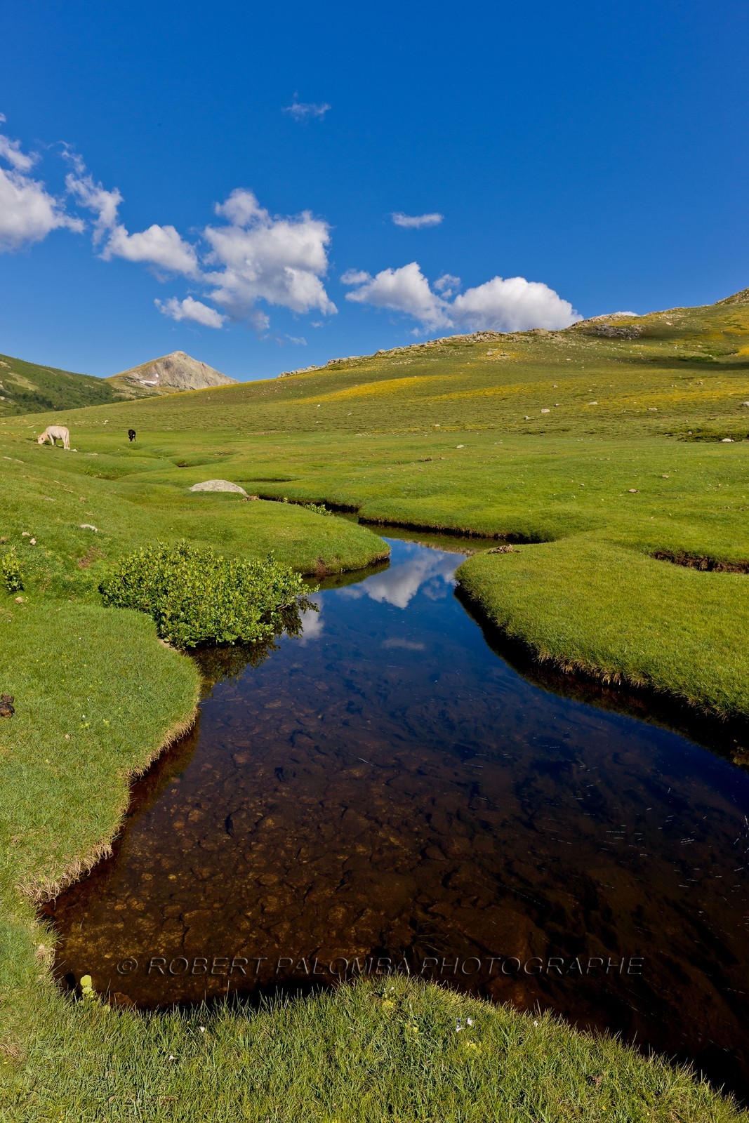 GR 20 Nord