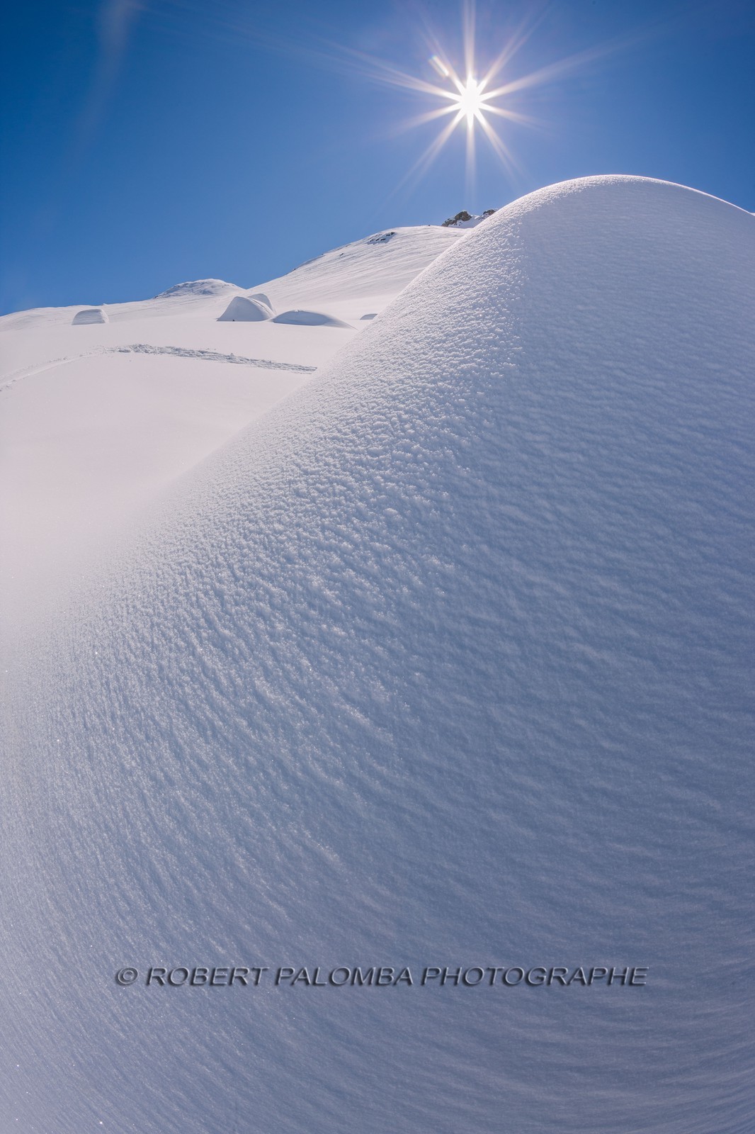 Auron