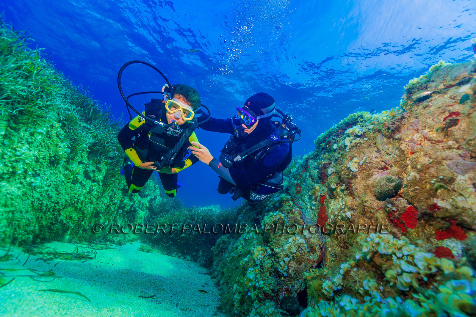 Plongée-sous-marine