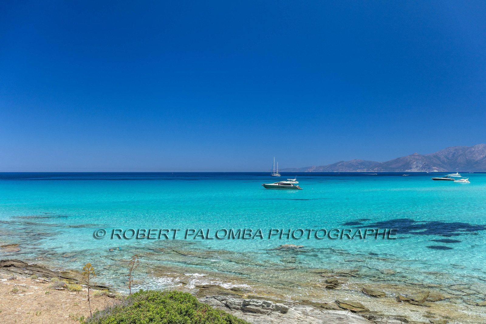 Saleccia