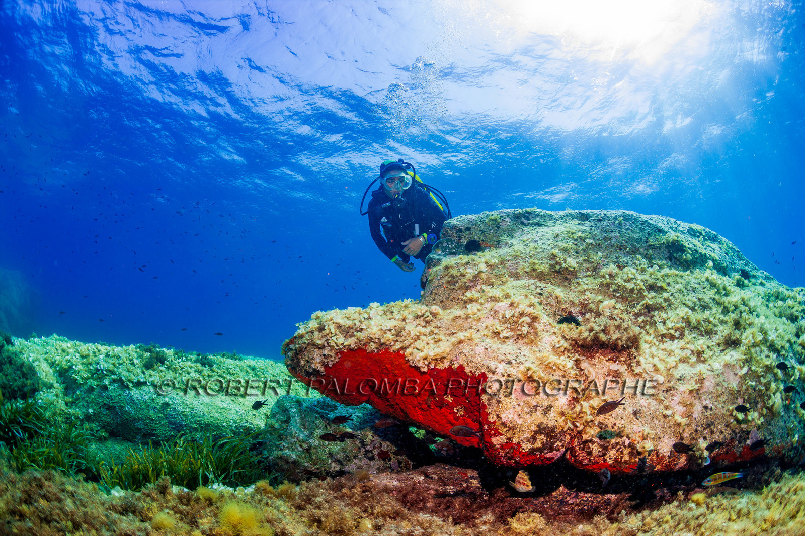 Plongée-sous-marine