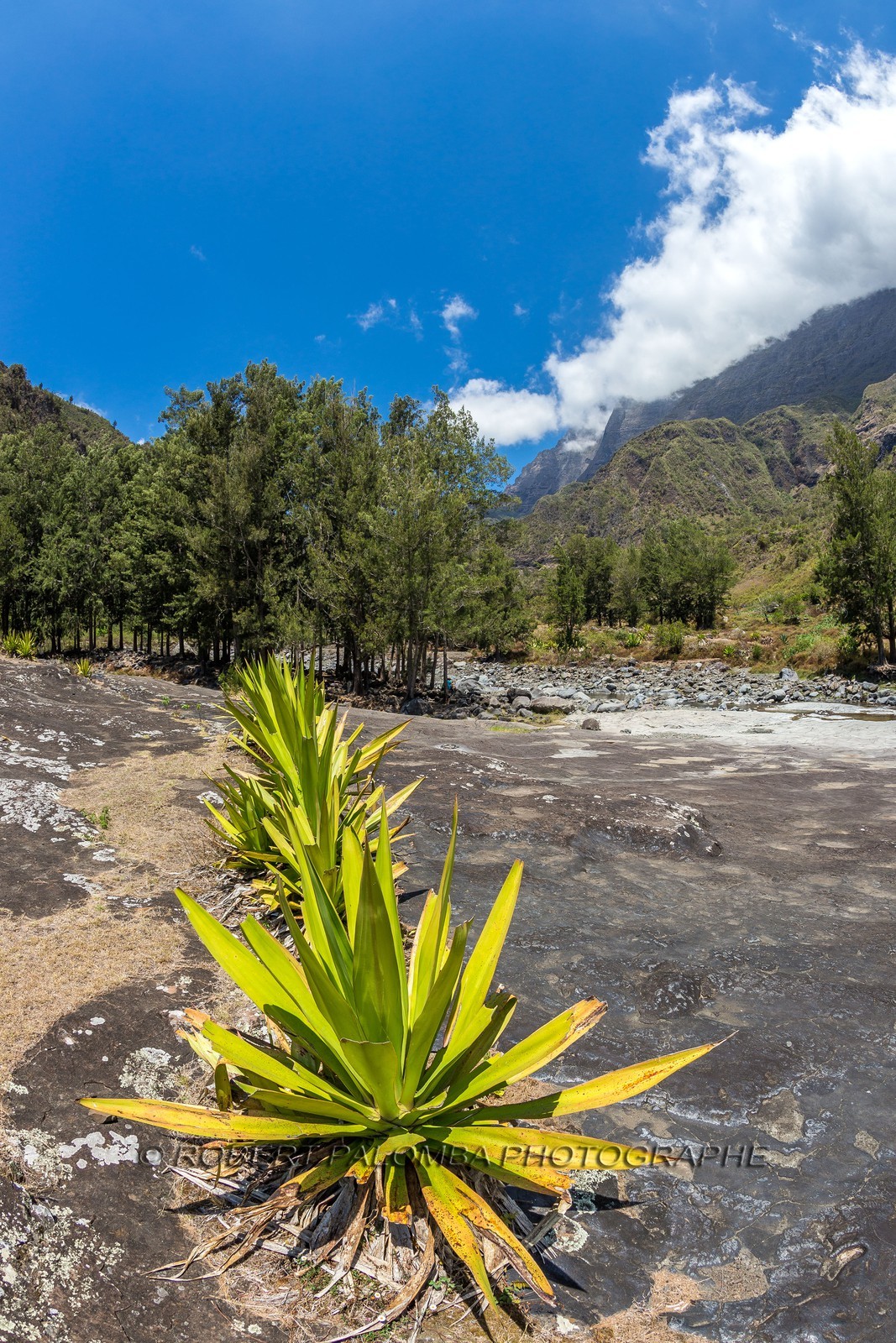 Ile de La Réunion