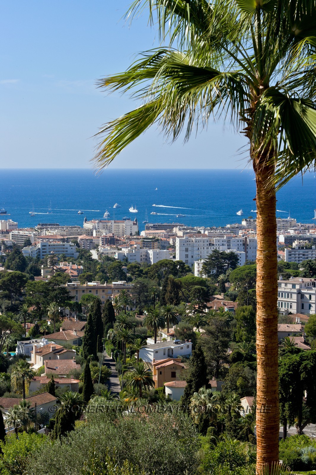 Cannes