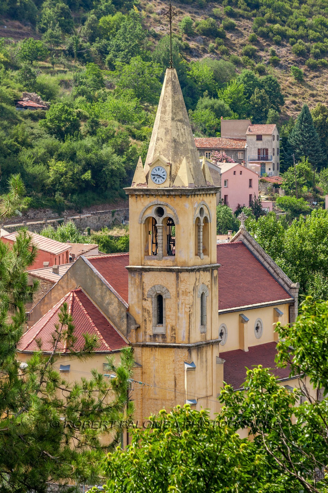 Vivario